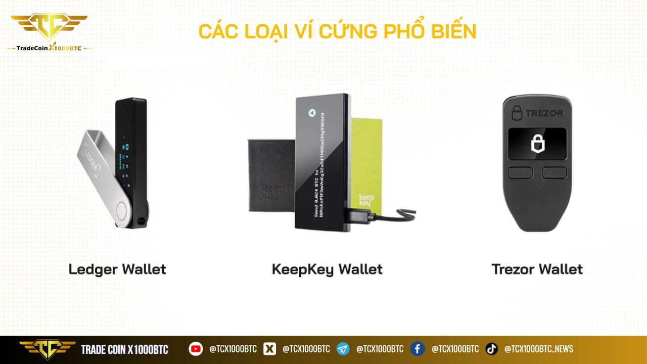 Top 4 Cách Lưu Trữ Tài Sản Crypto Cho Người Mới 