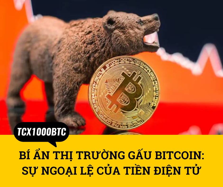 Bí Ẩn Thị Trường Gấu Bitcoin: Sự Ngoại Lệ Của Tiền Điện Tử