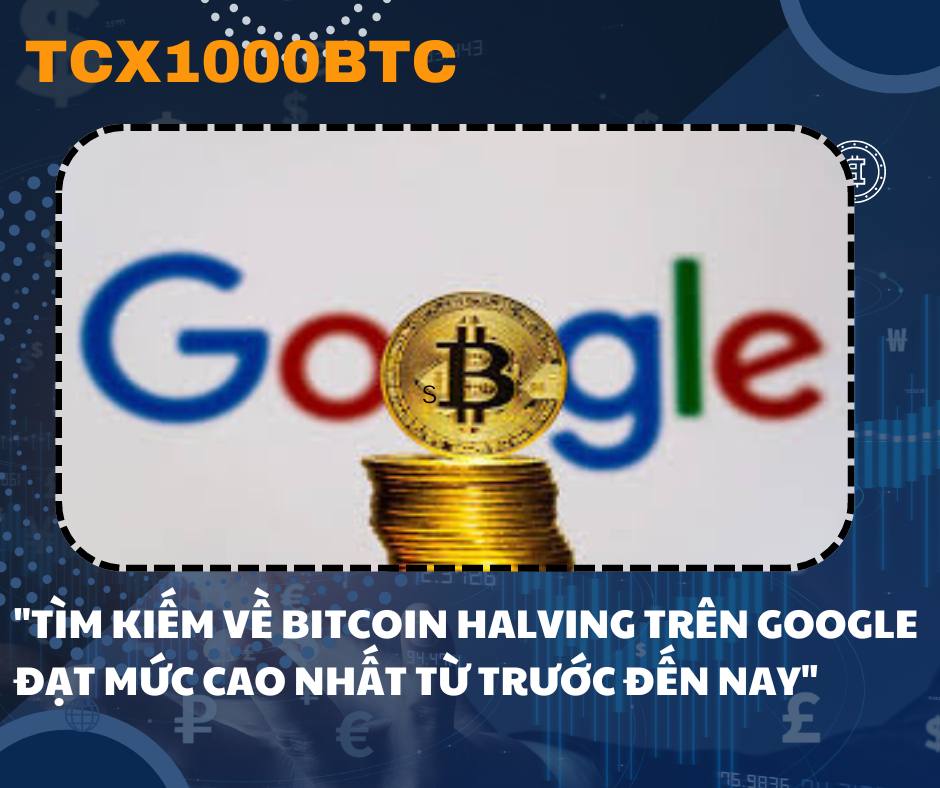 "Tìm kiếm về Bitcoin halving trên Google đạt mức cao nhất từ trước đến nay"