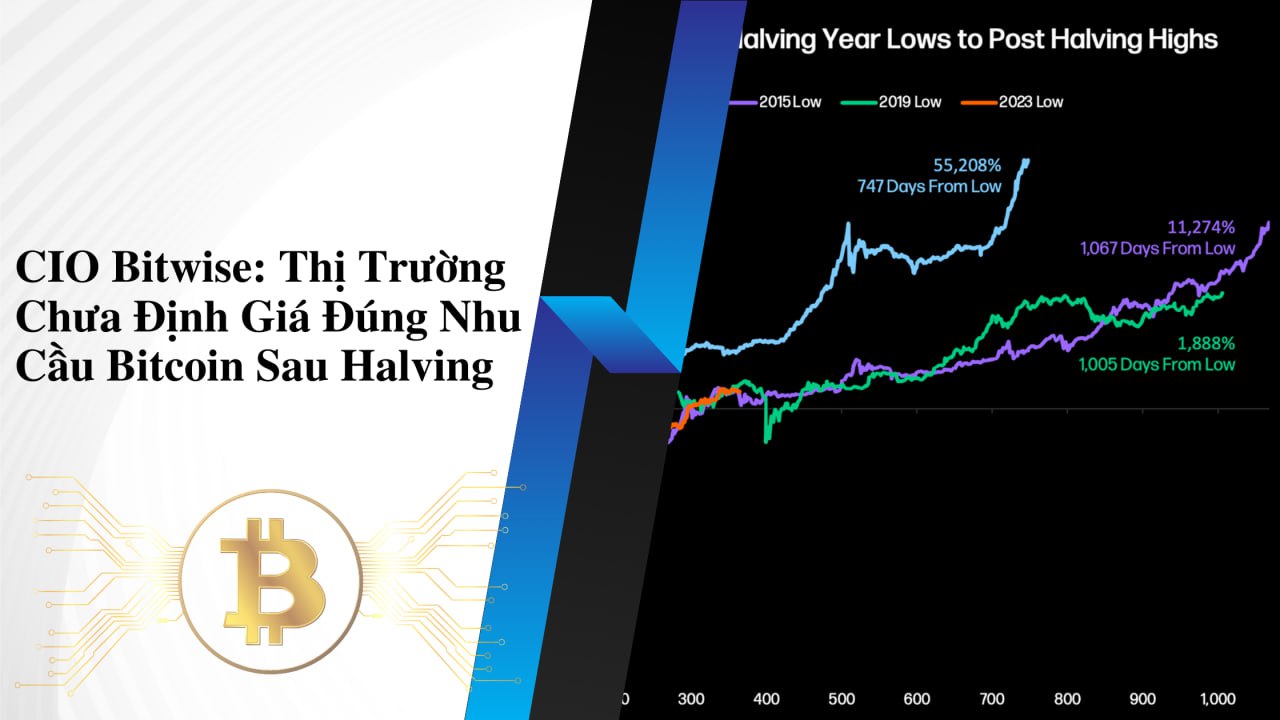 CIO Bitwise: Thị Trường Chưa Định Giá Đúng Nhu Cầu Bitcoin Sau Halving