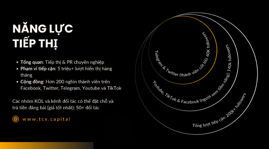 Năng lực tiếp thị của TCX CAPITAL.