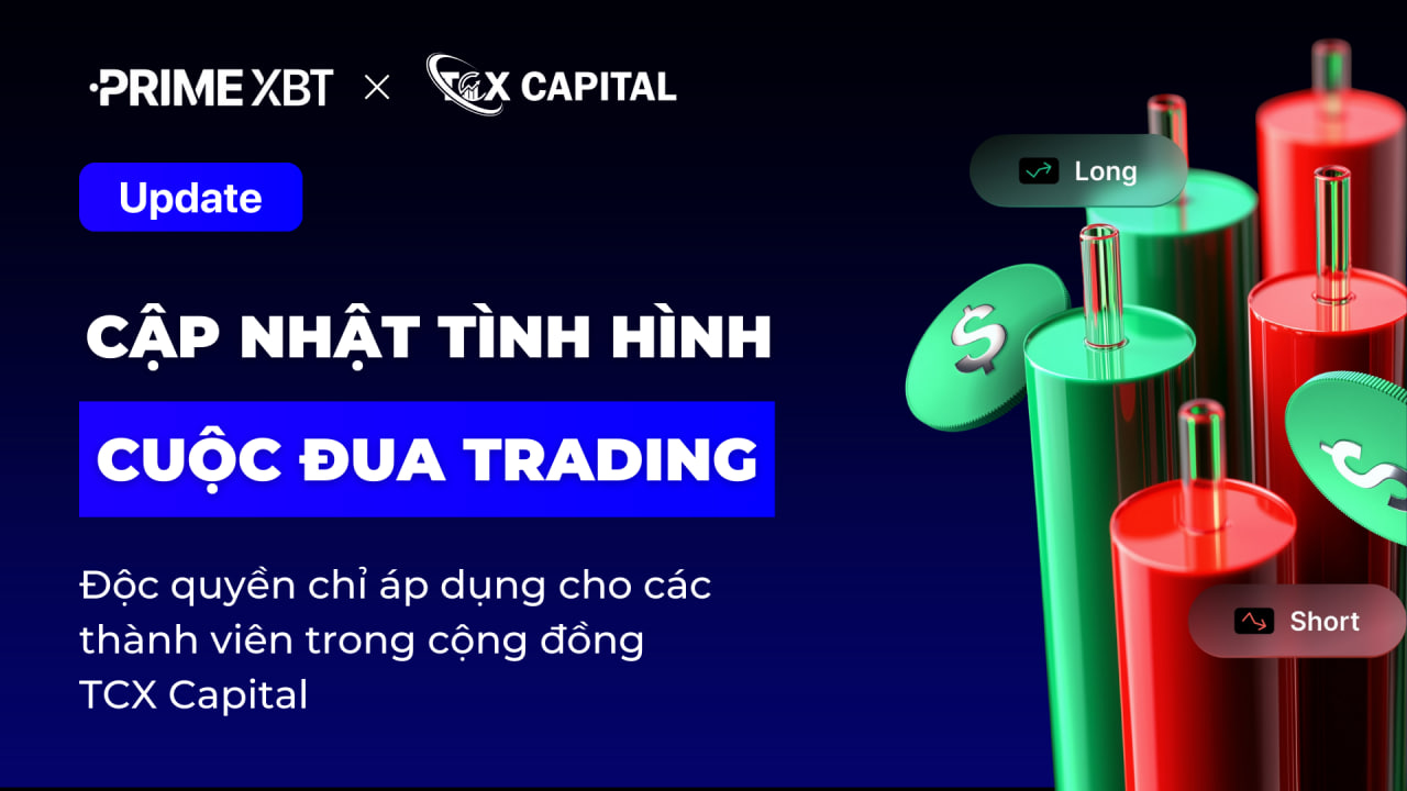 Cập Nhật Tình Hình Đua Trading Của TCX Capital Tháng 11