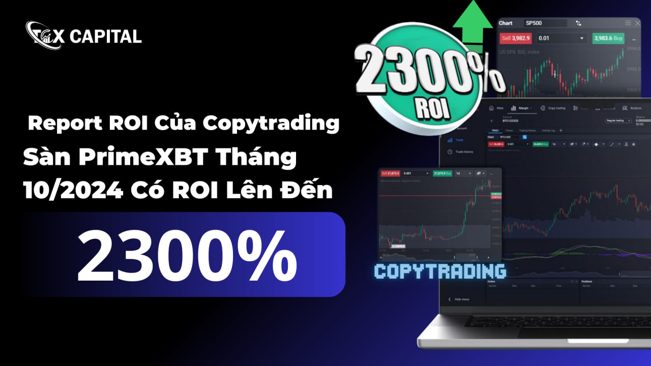 Report ROI Của Copytrading Sàn PrimeXBT Tháng 10/2024 Có ROI Lên Đến 2300