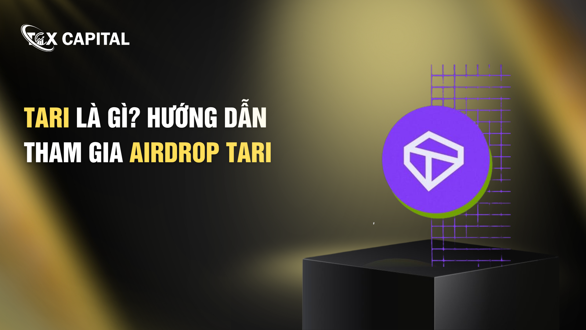 Tari Là Gì? Hướng dẫn tham gia airdrop Tari