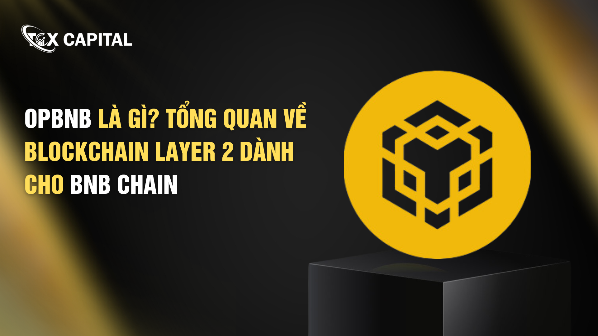 opBNB là gì? Tổng Quan Về Blockchain Layer 2 Dành Cho BNB Chain 