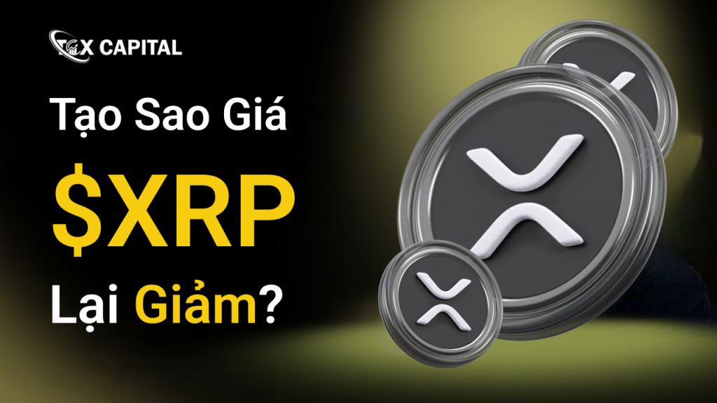 Tạo Sao Giá $XRP Hôm Nay Lại Giảm?